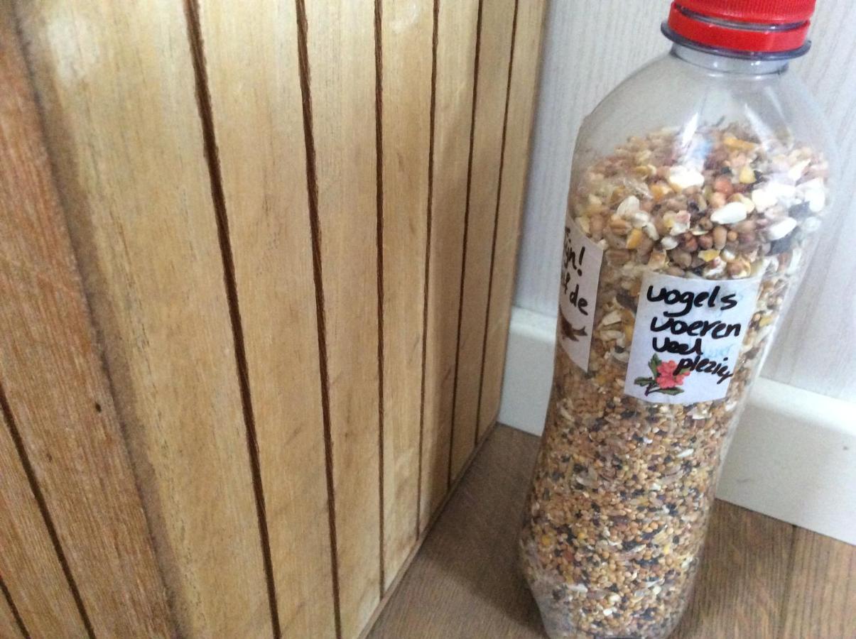 Repelsteeltje Op Terschelling Chalet Formerum
