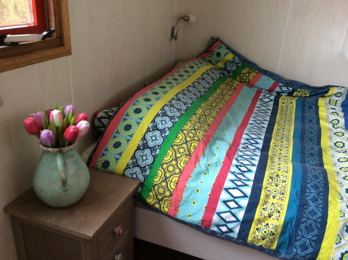 Repelsteeltje Op Terschelling Chalet Formerum