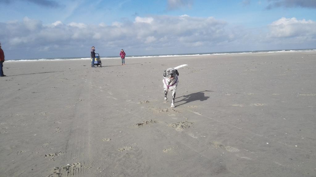 Repelsteeltje Op Terschelling